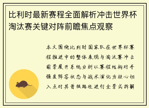 比利时最新赛程全面解析冲击世界杯淘汰赛关键对阵前瞻焦点观察